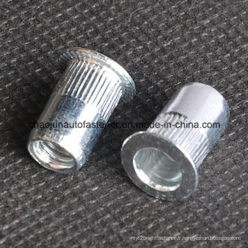 Blue Zinc Plated Furniture Rivet Nut (CZ062)